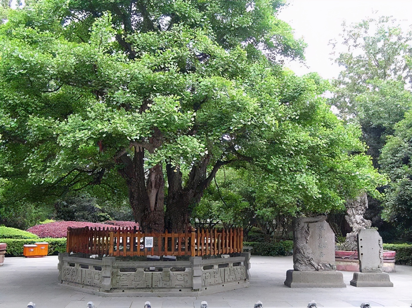 拜水都江堰问道青城山是诗词吗,拜水都江堰问道青城山完整版