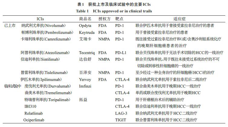 肝细胞癌治疗的研究新进展,肝细胞癌的系统治疗国内进展