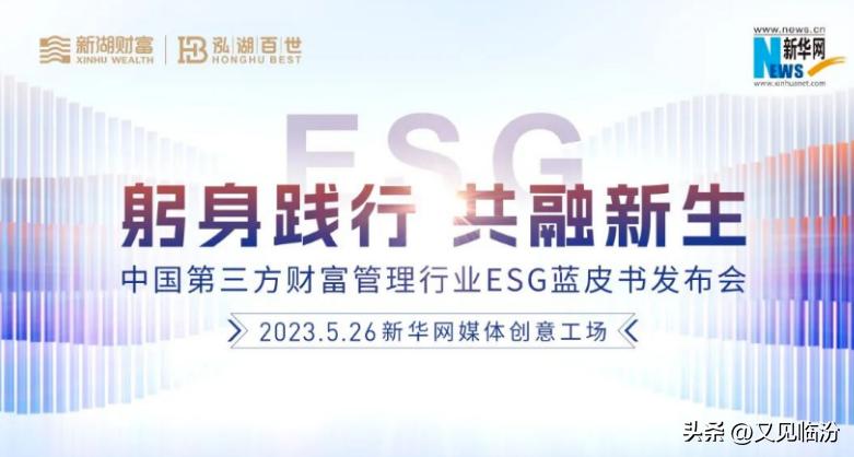 新湖财富投资管理,新湖财富第三方