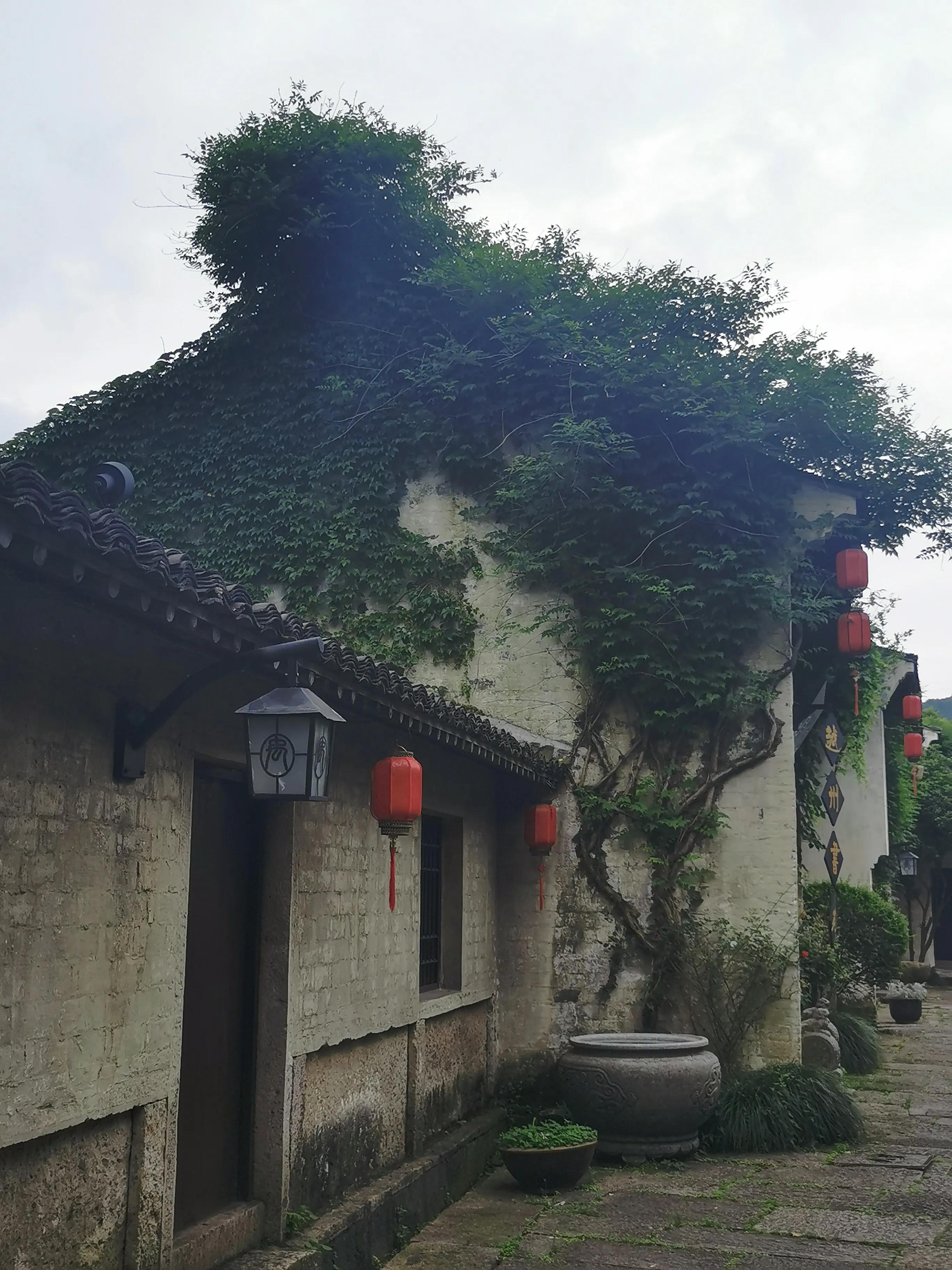 绍兴十大顶级酒店,绍兴值得推荐的酒店
