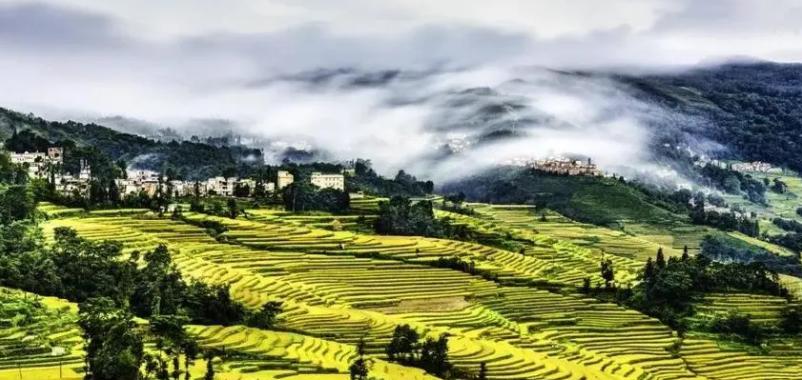 云南与越南的边境小镇有哪几个,云南边境与越南接壤的小县城