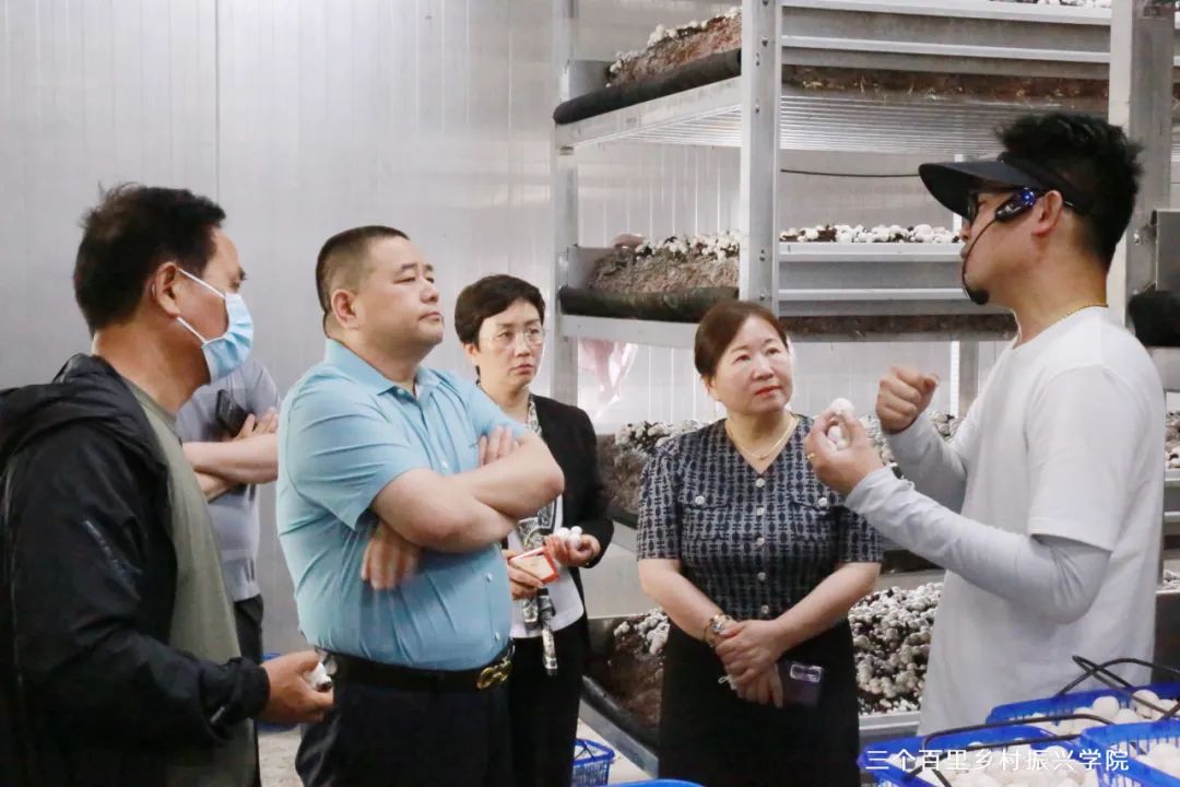 郑州延津商会赴上海学习考察乡村振兴项目