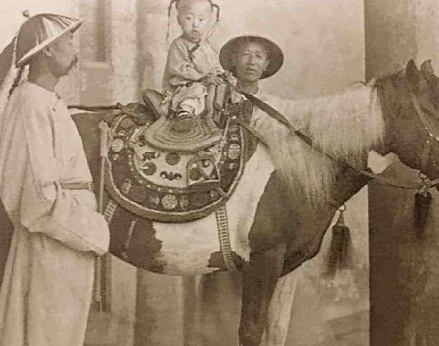 老汉宝刀卖500万专家指责现场,老人500万卖宝刀专家指责