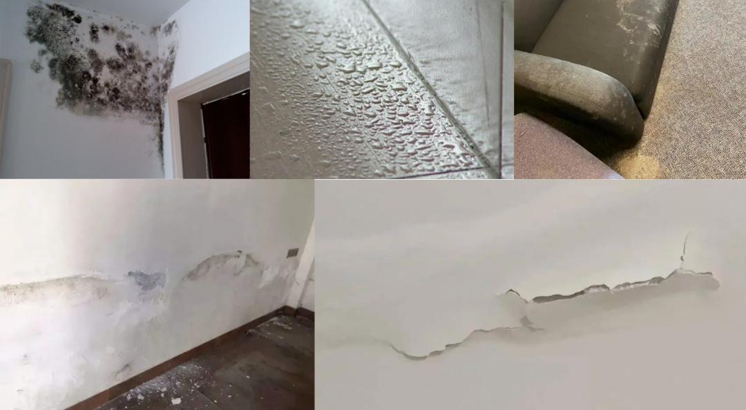 建筑物渗漏修缮,建筑除湿防潮措施