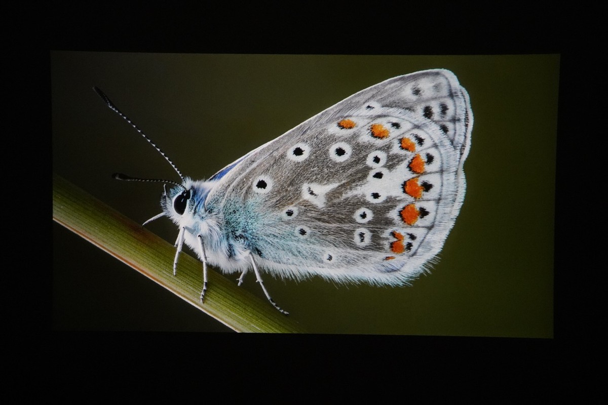 创维投影仪p9评测,创维酷开d10投影仪真实评测