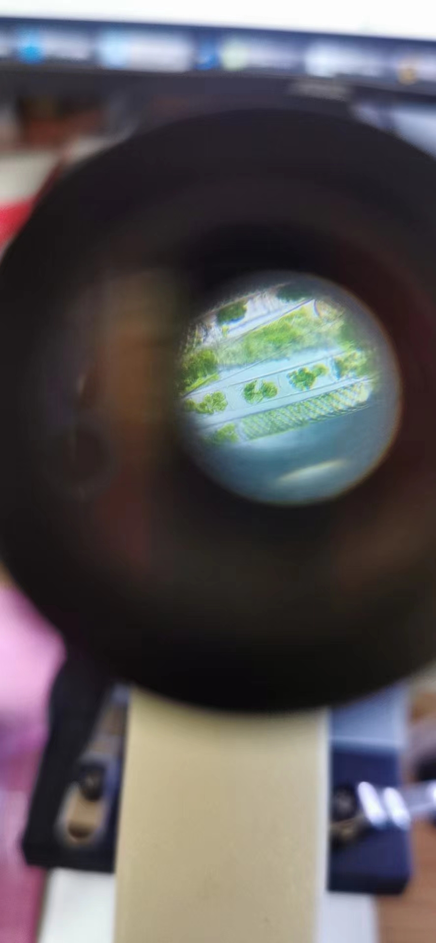 藻类植物可以预防疾病吗,杀菌盐可以预防藻类吗