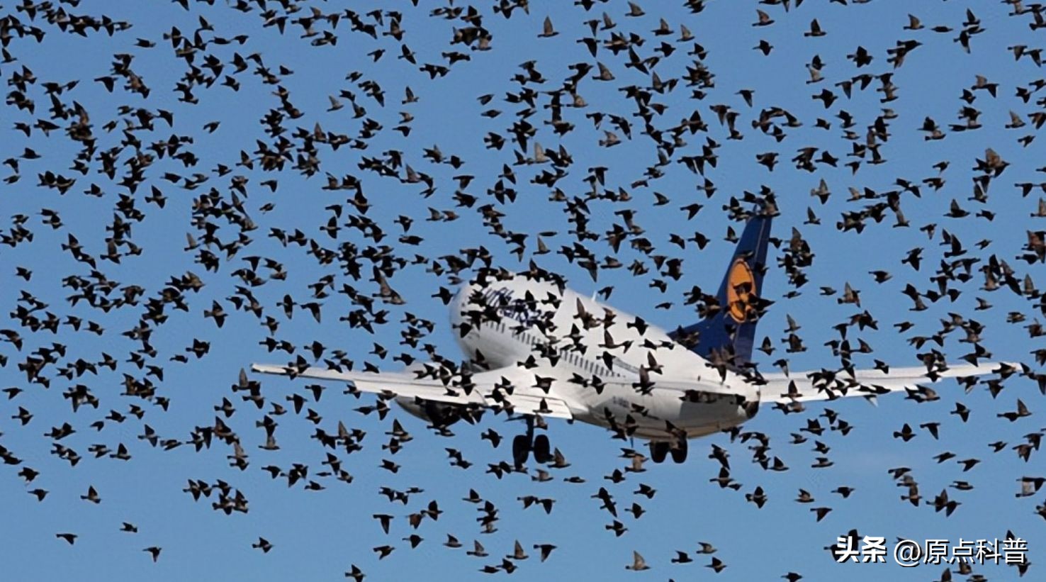 世界上七大离奇事件视频,世界各地发生的奇异现象