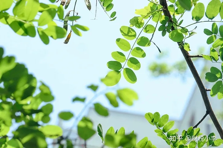 天津公司注册信息,天津注册公司流程网上申请