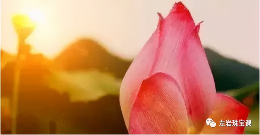 左岩珠宝直播间送礼物,左岩珠宝课