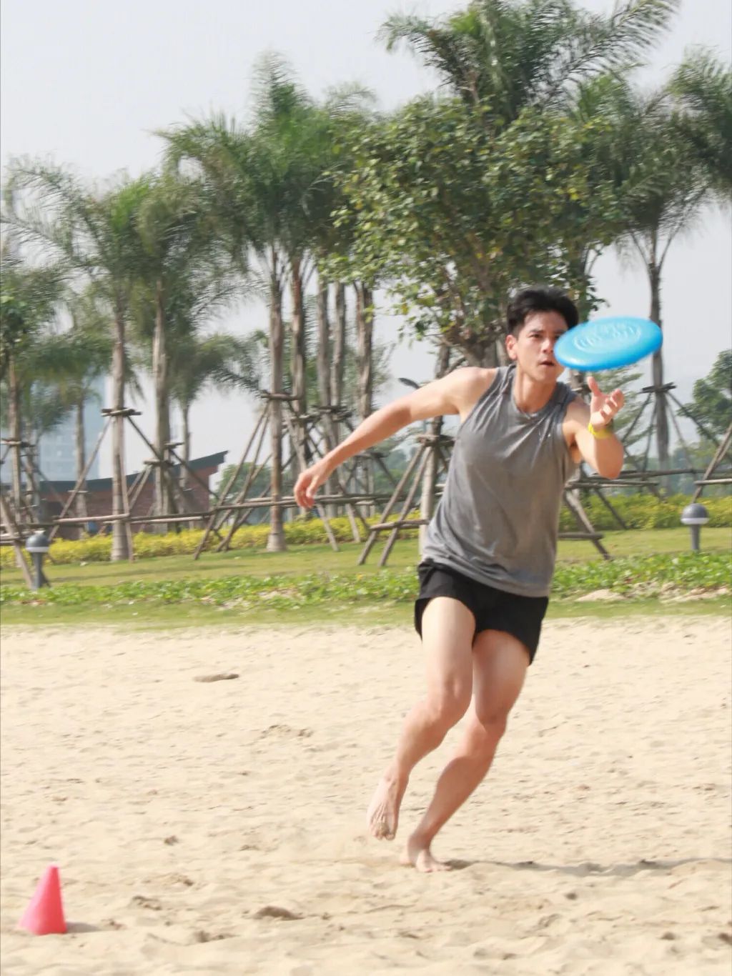 上海玩宠物,上海玩狗户外