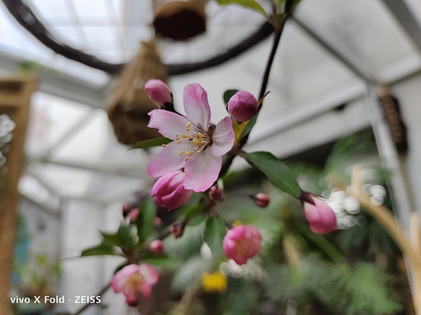 vivoxfold折叠屏评测,vivoxfold对比华为matex2