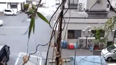 日本发生7.4级地震现场,日本发生7.4级地震