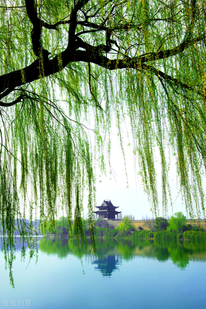 风吹杨柳万千条选段,风吹杨柳万千条指什么生肖