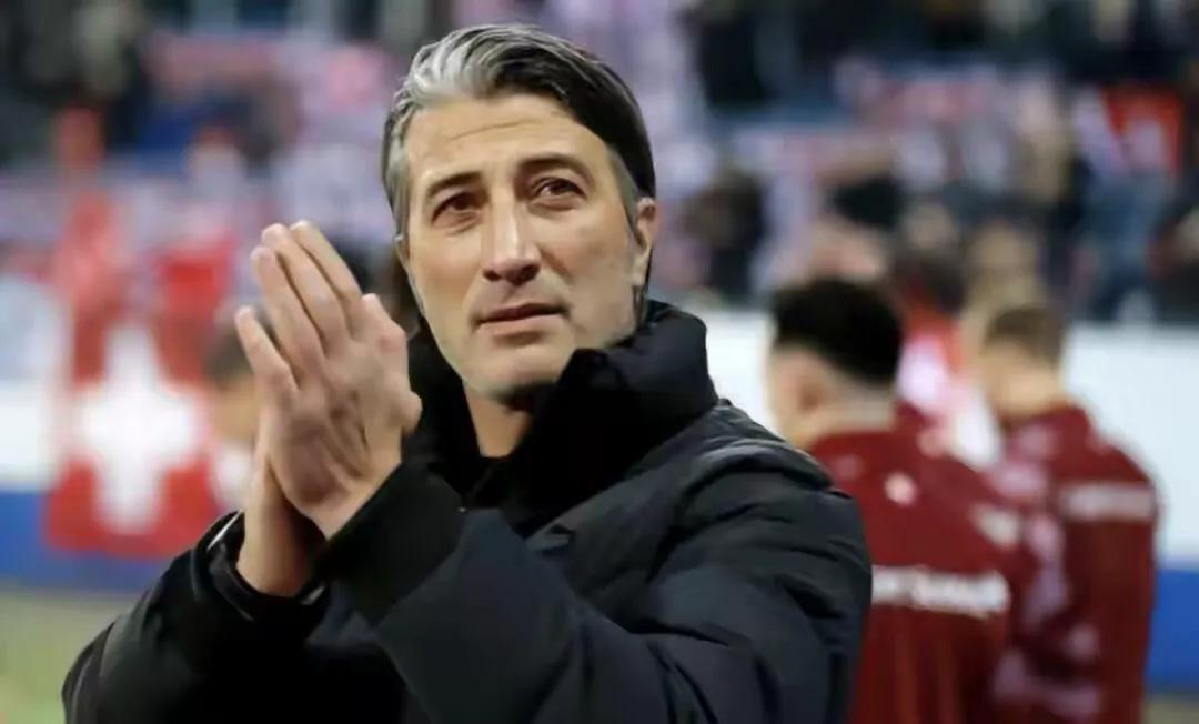 卡塔尔世界杯32强本土主教练,2022卡塔尔世界杯各国主帅