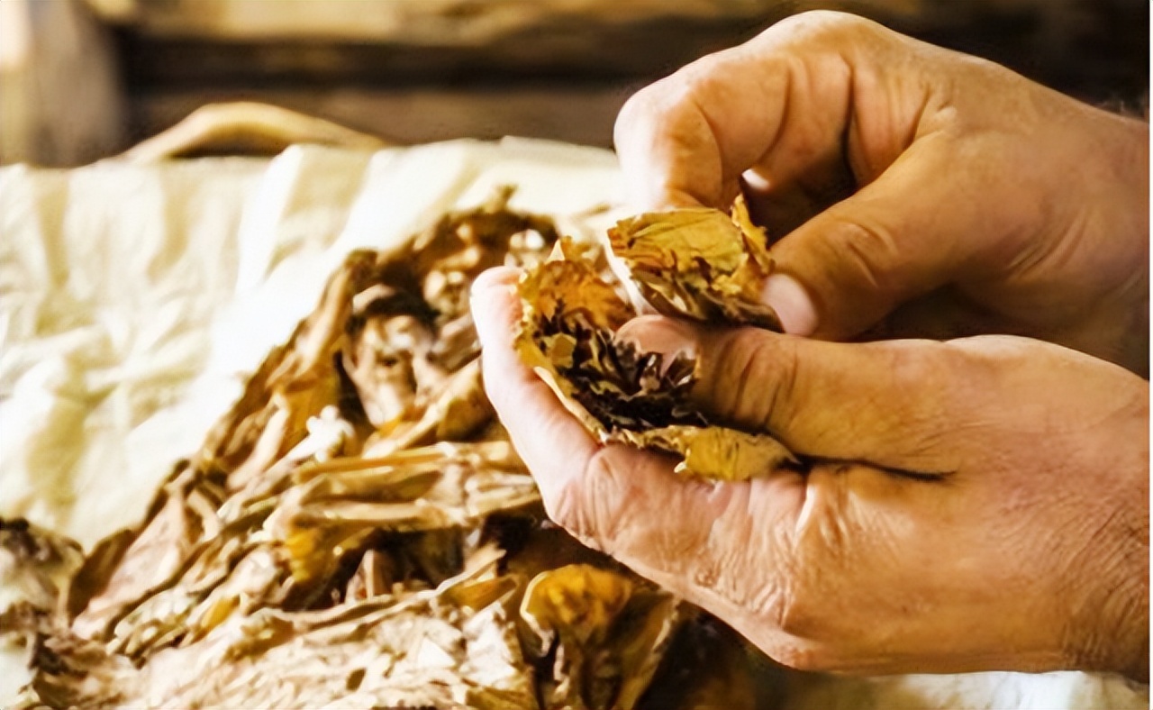 草烟的好处,草烟坏处