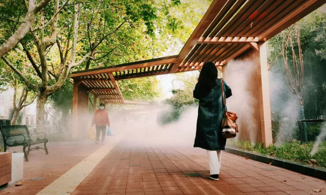 石家庄最美小街巷如何投票,石家庄市小街巷