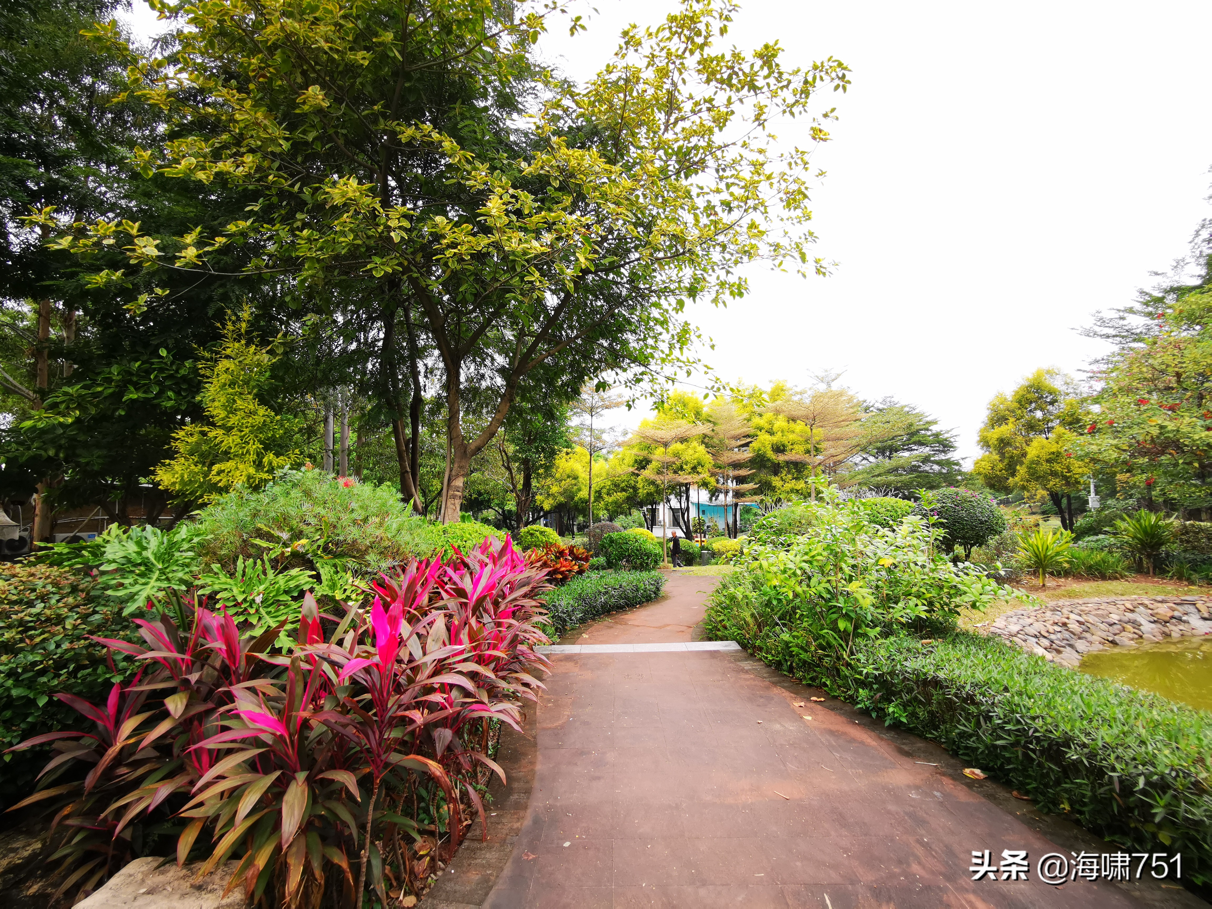 陈田花园全景图,陈田花园照片