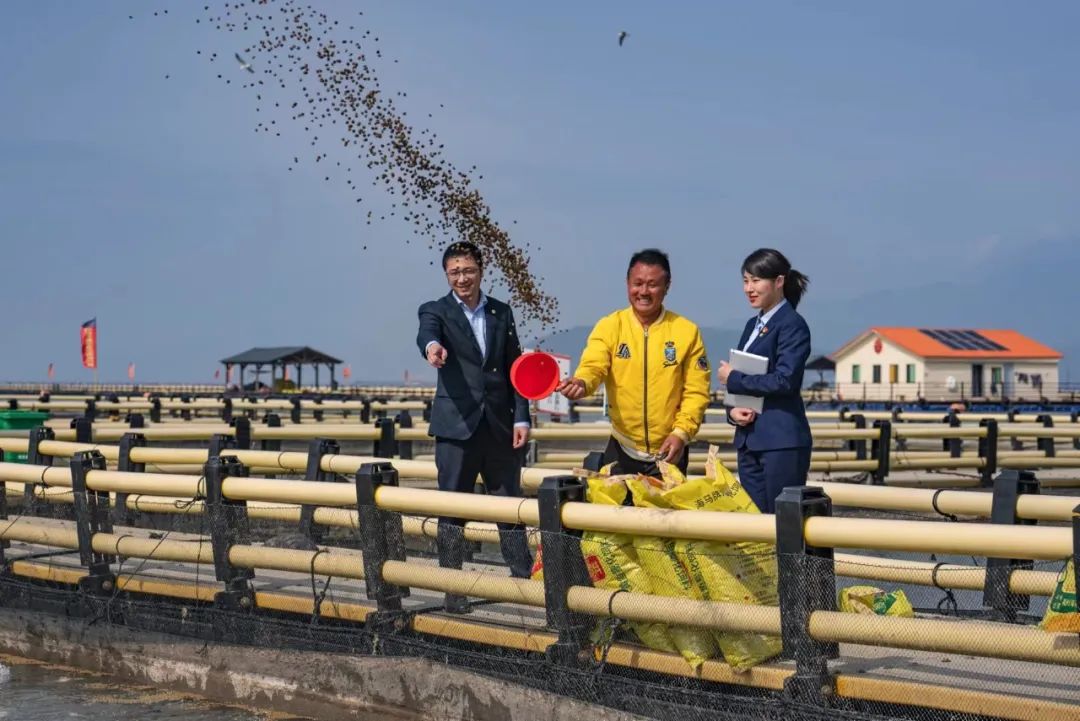 厦门银行和厦门国际银行规模,多领域全方位的合作