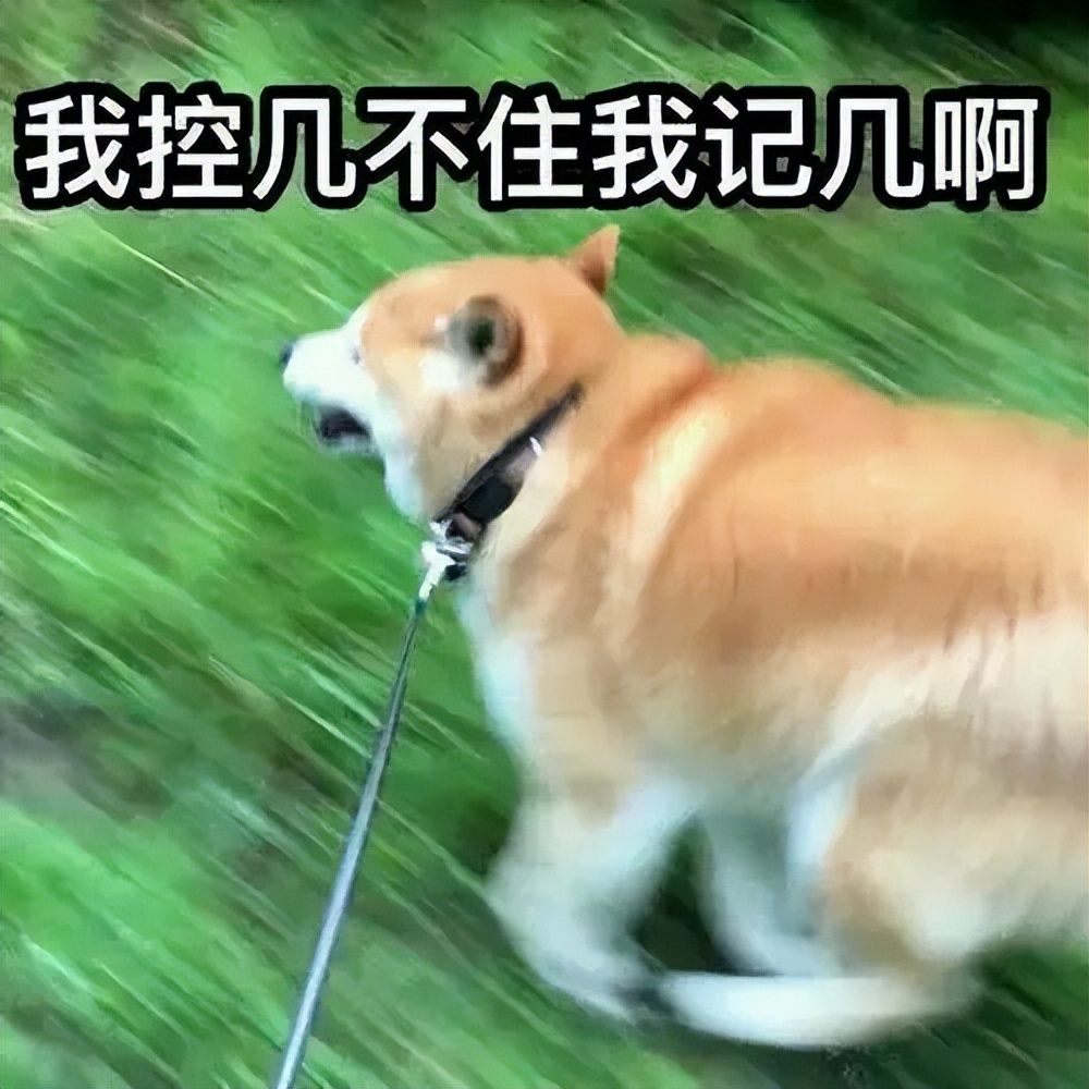 狗狗总喜欢吃草是什么原因呢,狗狗经常吃草是什么原因