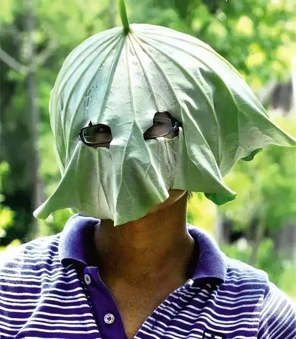 紫外线的可怕之处,紫外线对中国有什么用