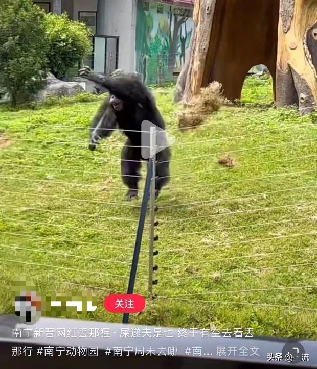 男孩景区遭鹈鹕灌顶,男孩被醍醐灌顶在什么景区