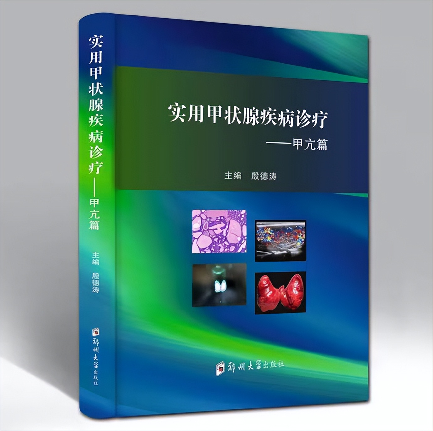 第三届郑州肝胆胰外科高峰论坛,第三届国际高峰论坛