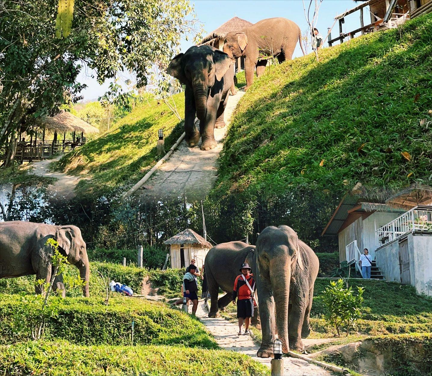 泰国旅游必去的5个岛,五一去泰国旅游有哪些景点