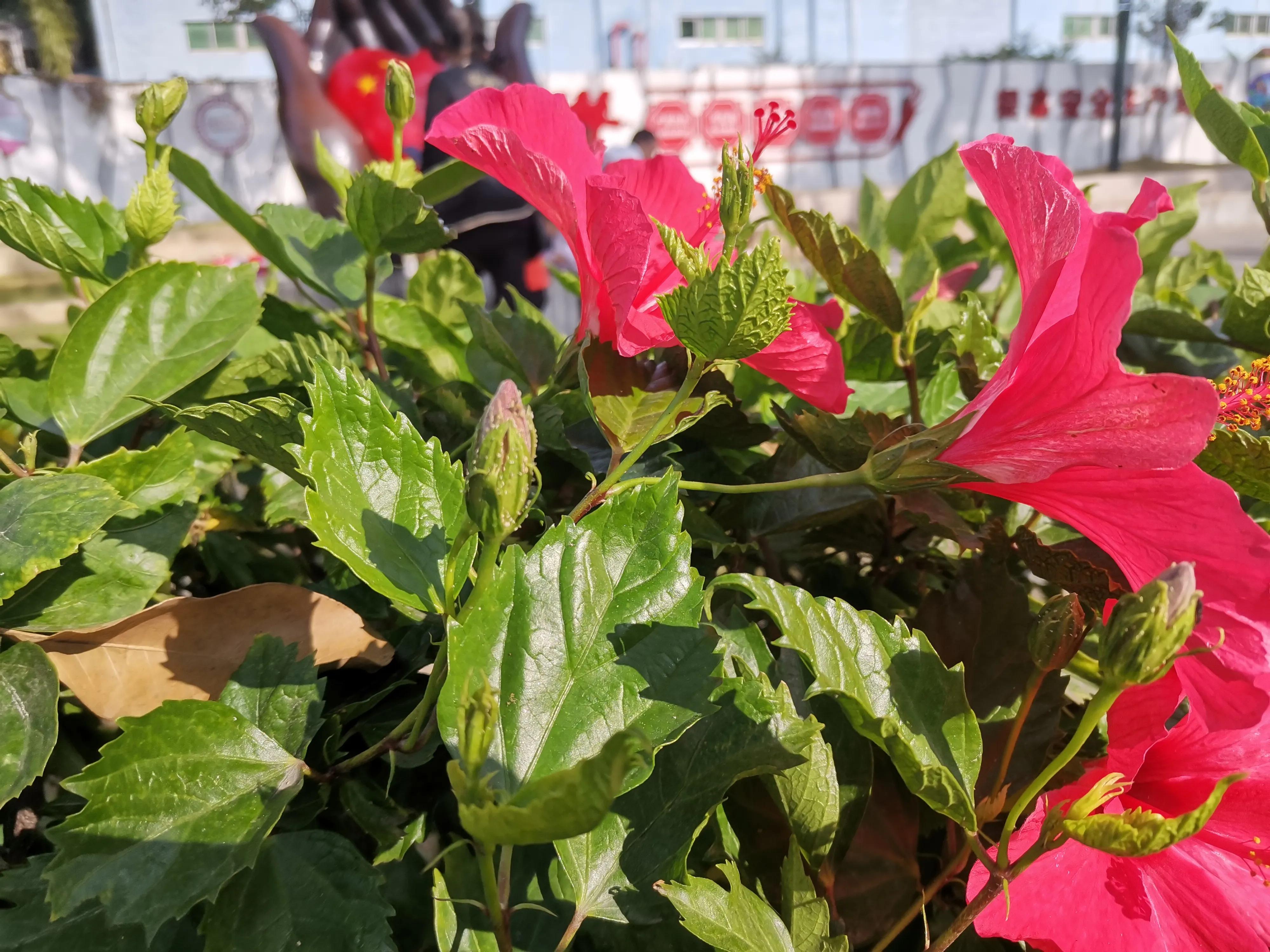 未来四种生意不要干,四种生意不能做四种生意一定要做