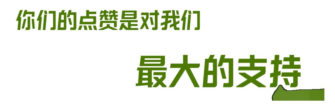 世青季军争夺战,今日足球竞彩14场推荐实单