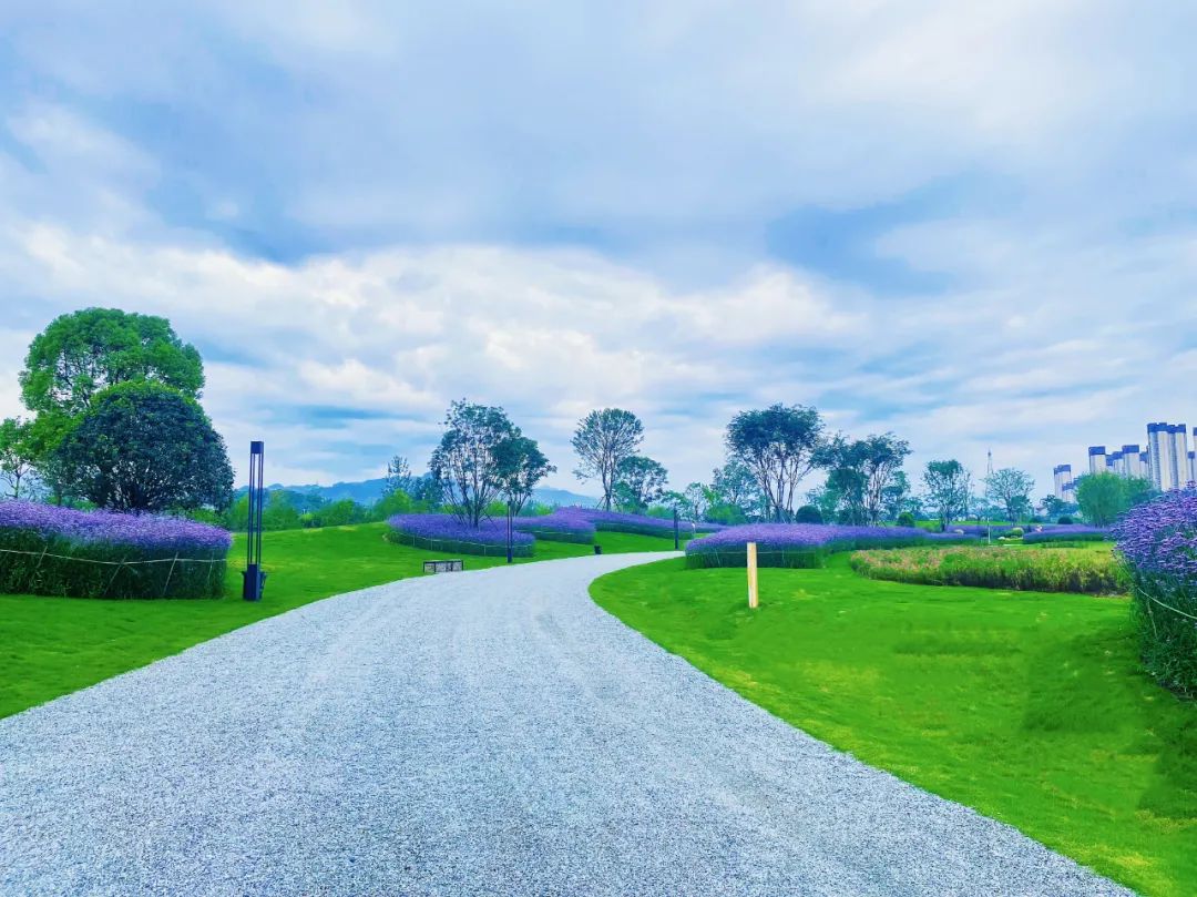 宜昌市区打卡网红景点,宜昌cbd拍照打卡地方