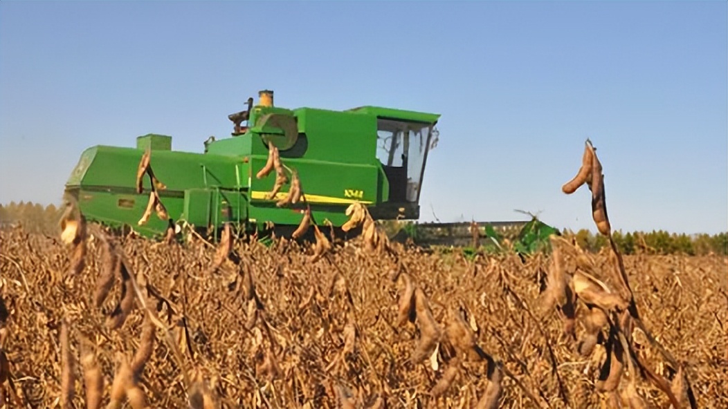 中国赠送美国大豆种子,中国大豆种子是谁送给美国的