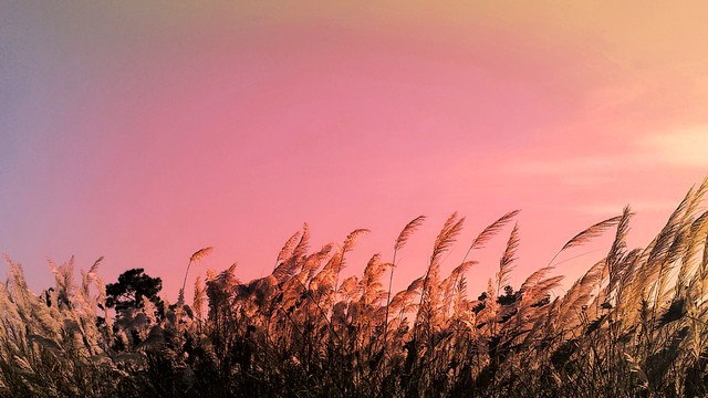 如何做好微商营销推广,怎么做微商的运营推广