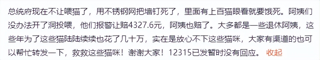 南京流浪猫被集体安乐死,南京总统府流浪猫事件