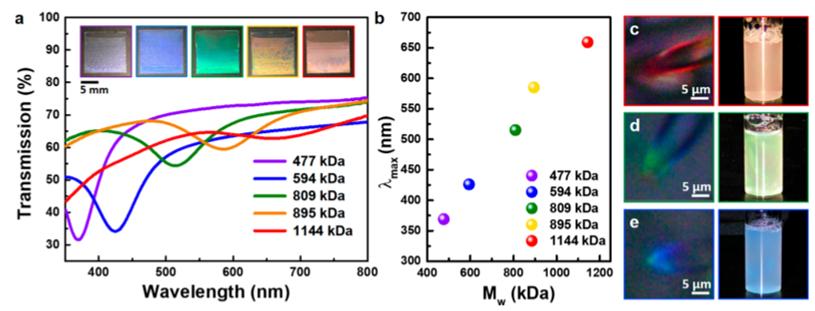 石墨烯杀菌原理,氧化石墨烯纳米粒子
