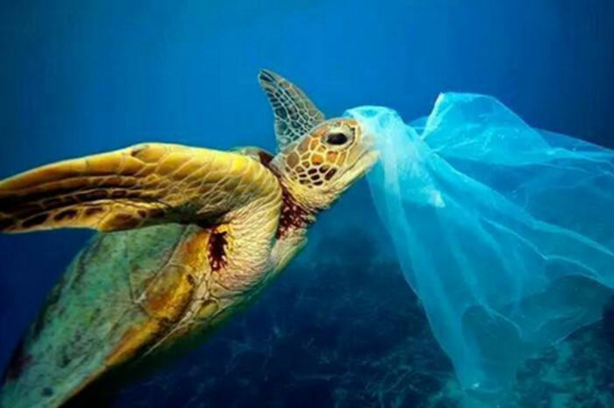 为什么有人回收旧光盘,旧光盘何处回收