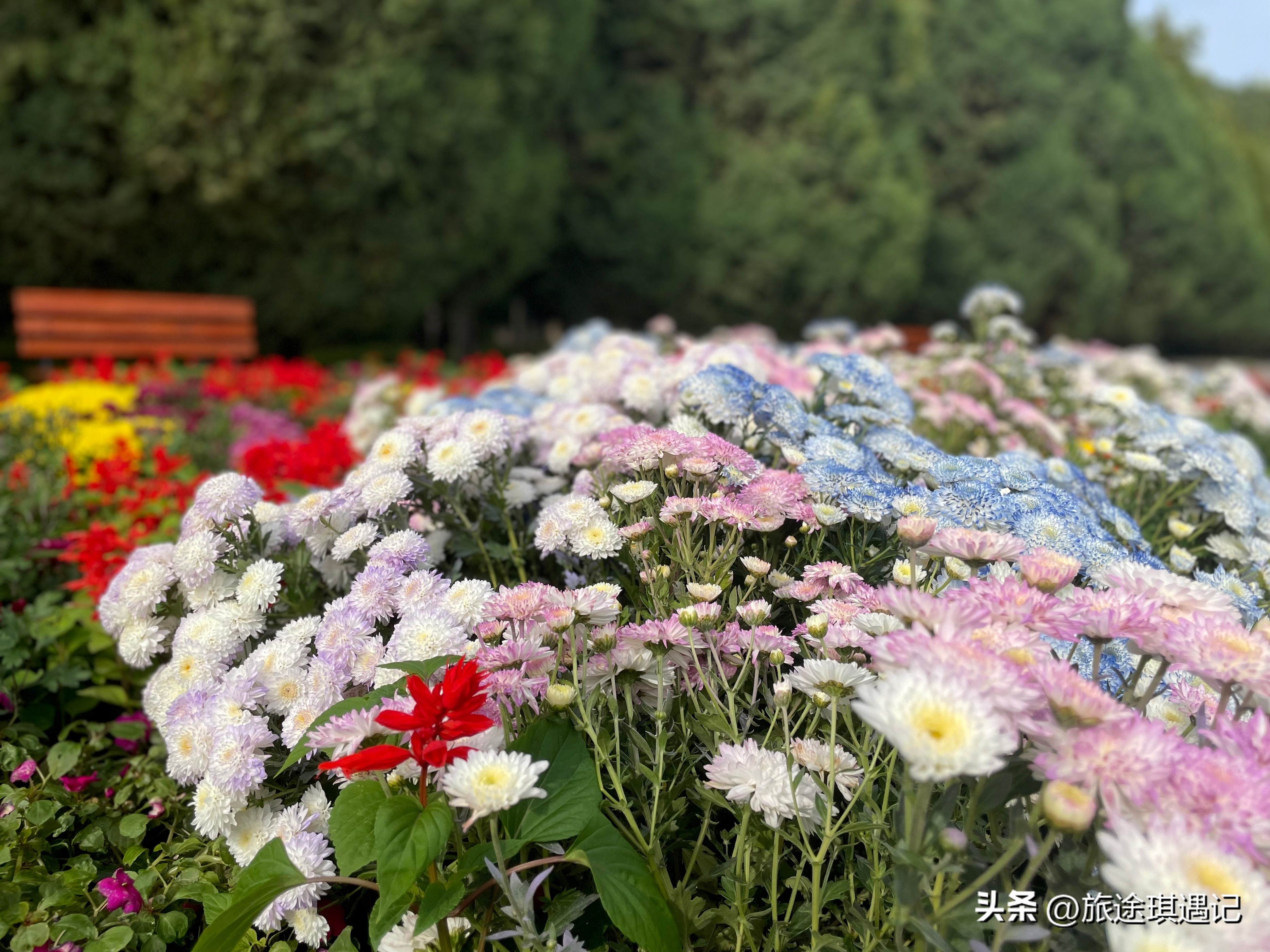 因矿而生因企设市，工业城市金昌绿化让人惊喜，甘肃的宜居城市