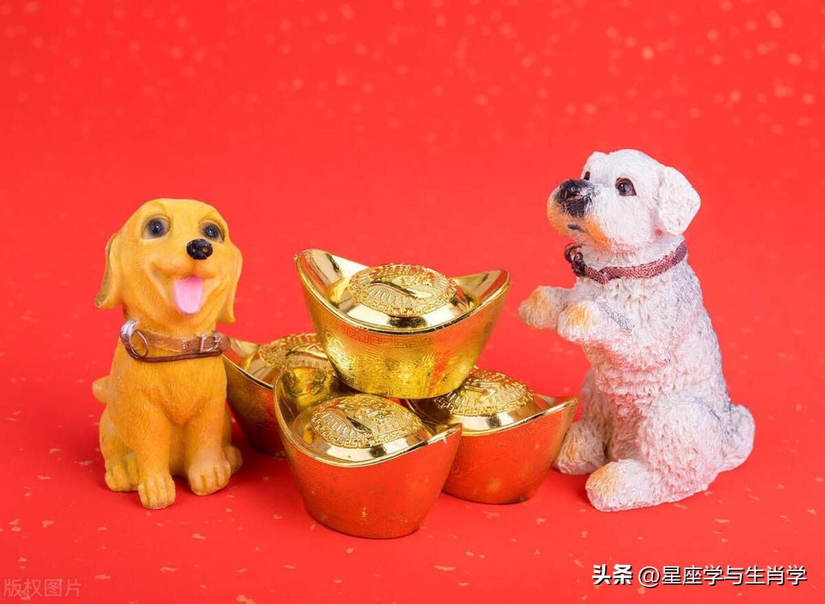 今年七月份生肖狗运势如何,七月份生肖狗财运怎么样