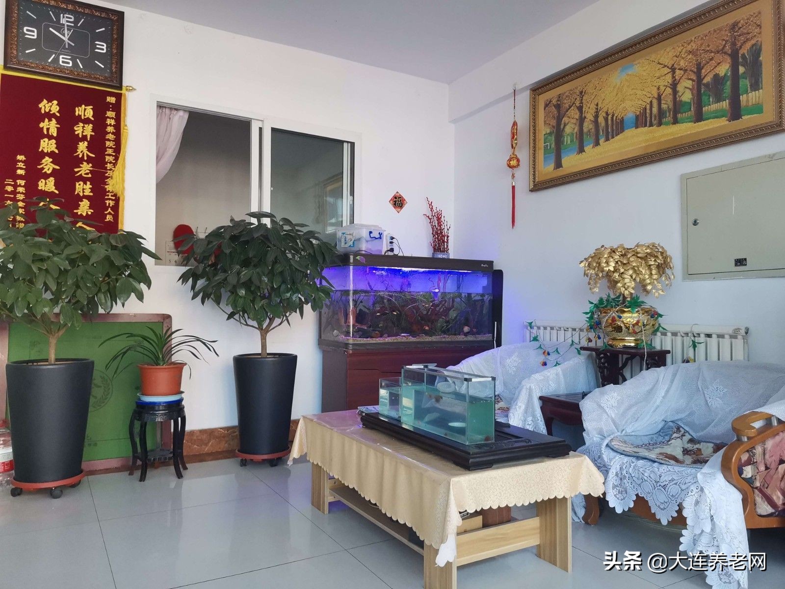 大连养老院多少钱一平方,大连山东路大湾市场附近养老院
