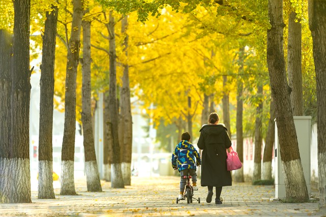 我们姐妹间的友谊坚不可摧,姐妹之间的友谊坚不可摧