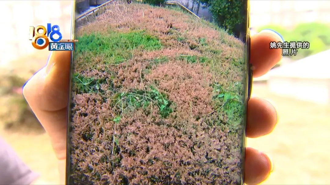 小区里的树被物业喷农药药死,小区里果子成熟了物业打农药