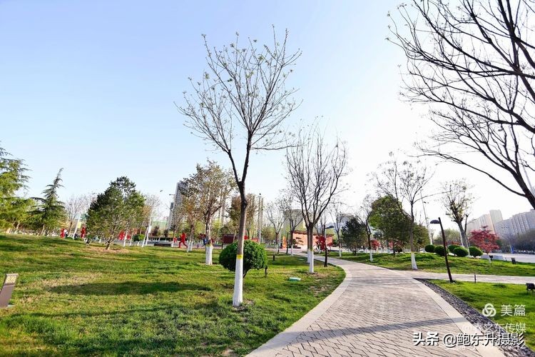 清晨的公园静态美和动态美,运城体育公园夜间灯光