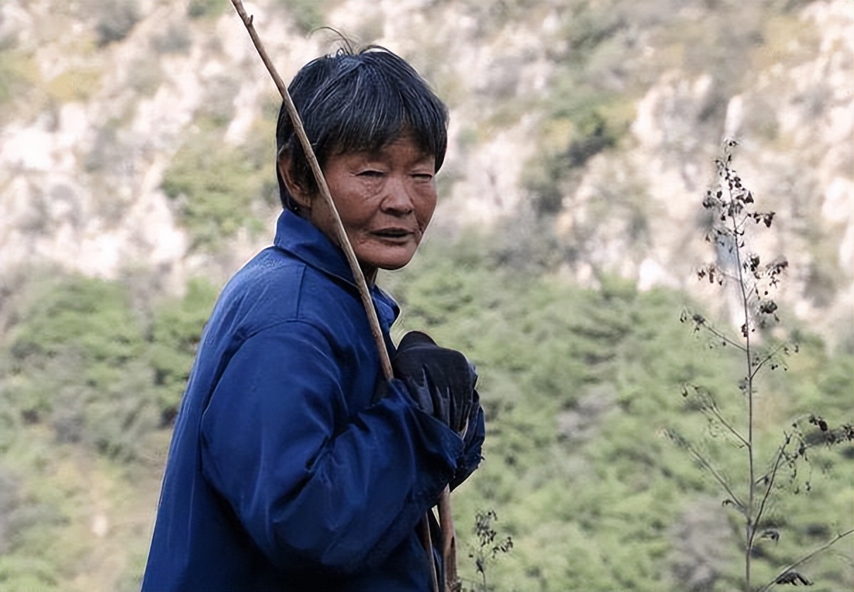 说文解字第661课,说文解字第551课