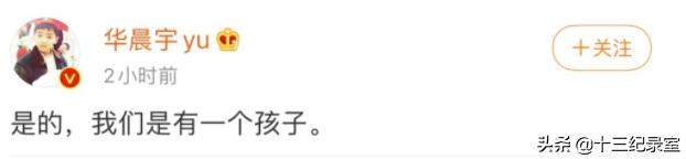 只生小孩不结婚的女人是什么心理,只生子不结婚的艺人