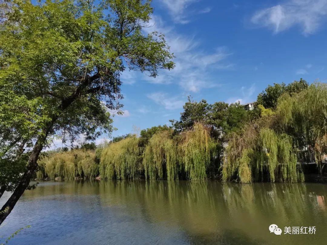 你好天津你好红桥环保主题手抄报,家长你好红桥