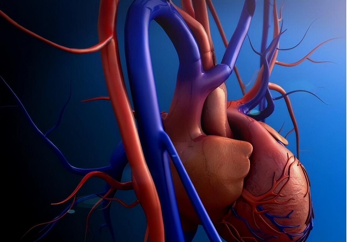 睾酮是由什么控制的,睾酮有什么作用怎样提高睾酮含量