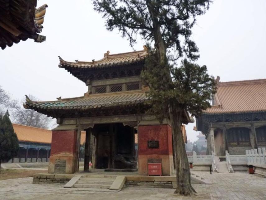 毛主席游孔林，突听“砰”一声响，他问孔子后人：这里常打枪吗？