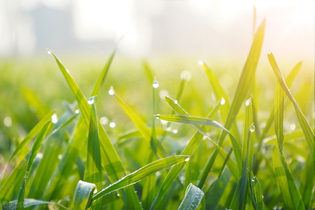 2023年是黑兔年有什么忌讳吗,2023年是黑兔年有什么忌讳