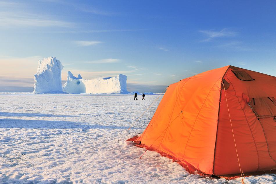 南极发现远古病毒人类如何应对,北极新发现了远古病毒吗