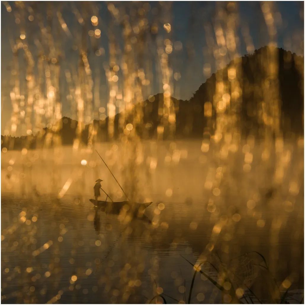 中国摄影艺术展获奖作品,北京国际摄影节获奖作品