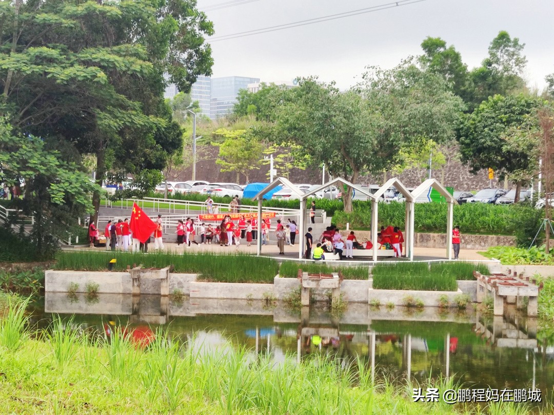 深圳龙华区观澜中心公园,龙华观澜中心公园